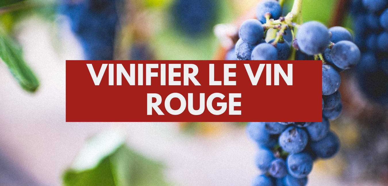 You are currently viewing Vinifier le vin rouge