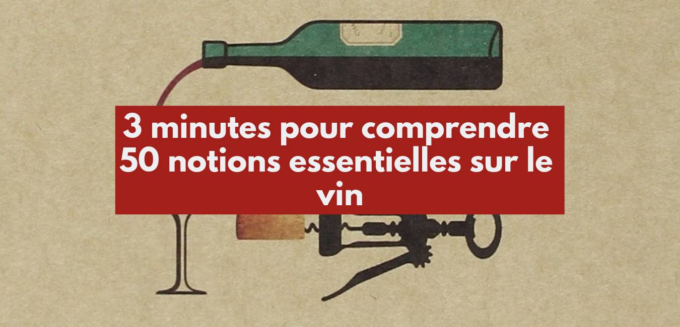 You are currently viewing 3 minutes pour comprendre 50 notions essentielles sur le vin de Gérard Basset