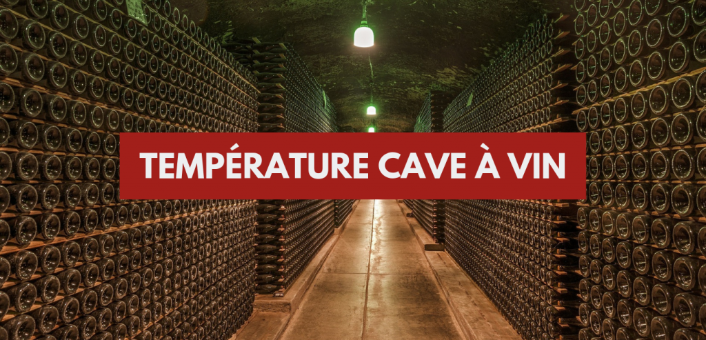 Température cave à vin