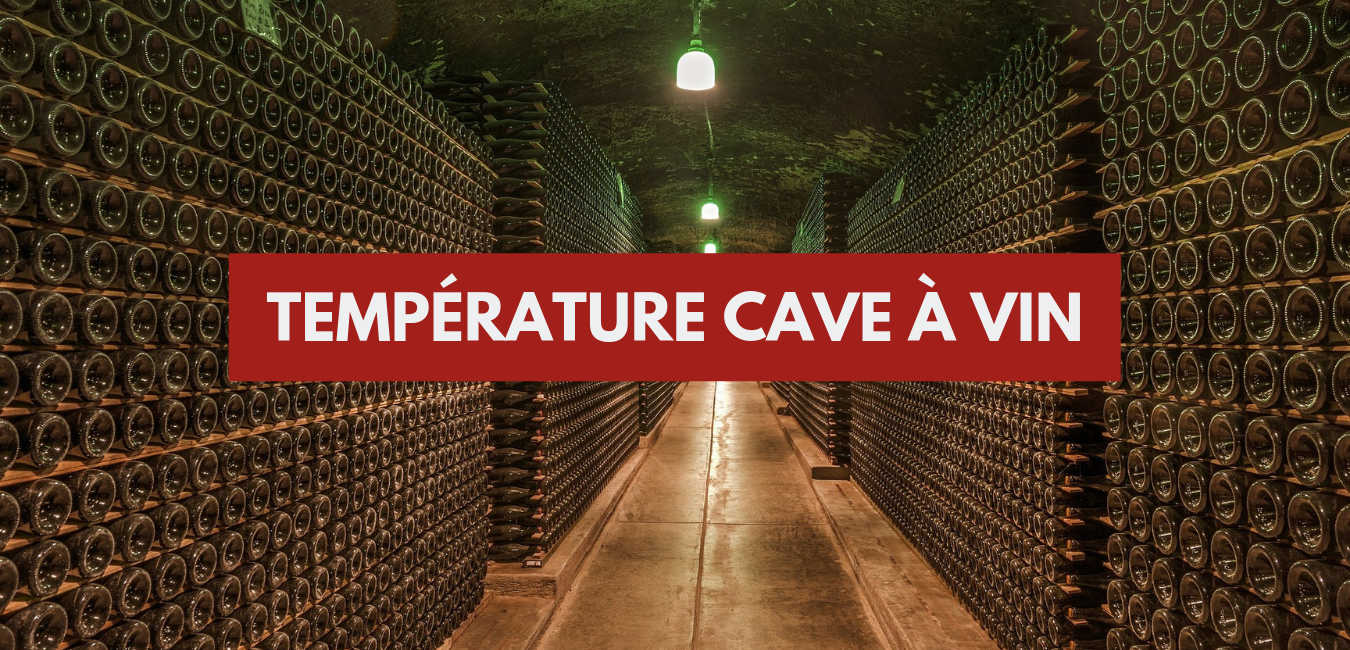 You are currently viewing Température d’une cave à vin