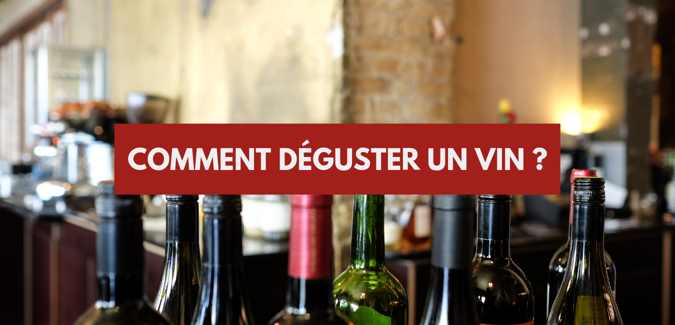 You are currently viewing Comment déguster un vin