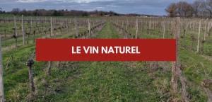 Lire la suite à propos de l’article Le vin naturel – Découvrez le vin nature !