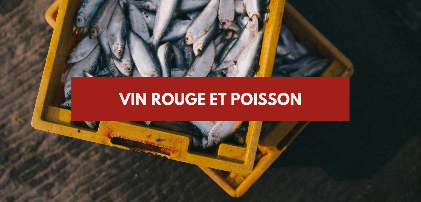 You are currently viewing Quel vin rouge avec du poisson ?
