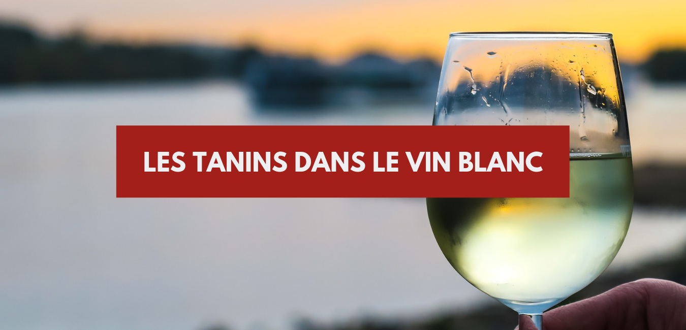 You are currently viewing Tanin vin blanc