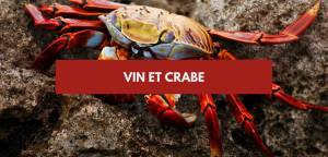 Lire la suite à propos de l’article Vin et crabe