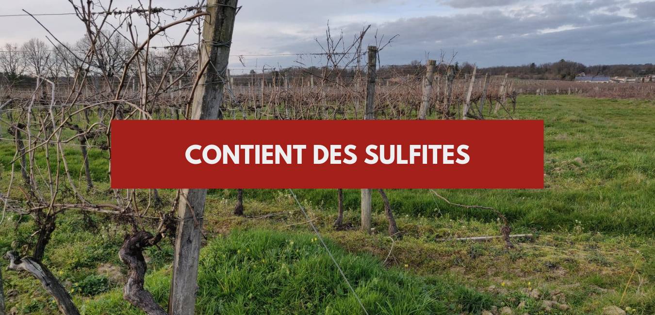 You are currently viewing Contient des sulfites