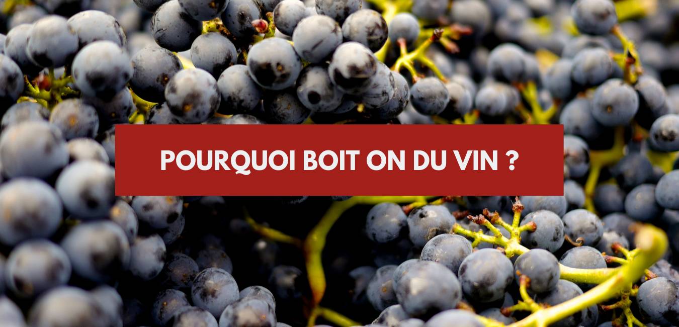 You are currently viewing Pourquoi boit-on du vin – Fabrizio Bucella