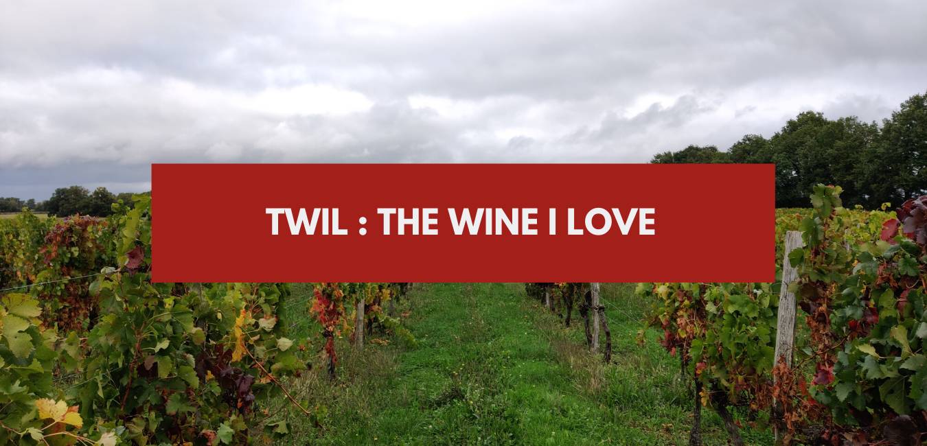 You are currently viewing TWIL : The wine I love