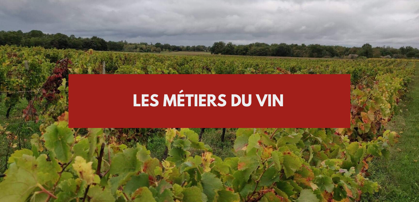 You are currently viewing Métier du vin