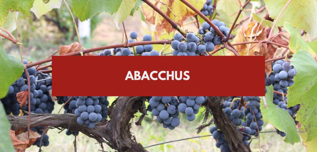 Abacchus - application sur le vin