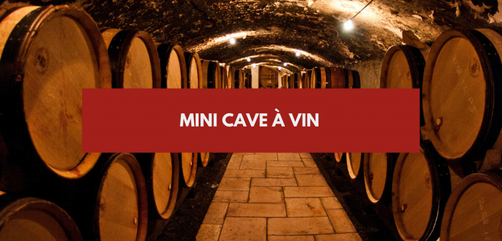 Mini cave à vin