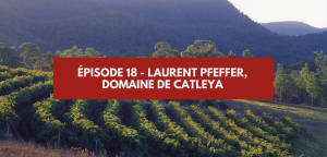 Lire la suite à propos de l’article Épisode 18 – Laurent Pfeffer, Catleya Wines