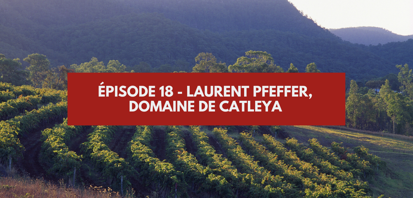 You are currently viewing Épisode 18 – Laurent Pfeffer, Catleya Wines