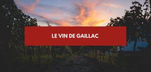 Lire la suite à propos de l’article Le vin de Gaillac