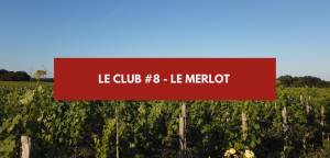 Lire la suite à propos de l’article Le Club #8 – Le Merlot