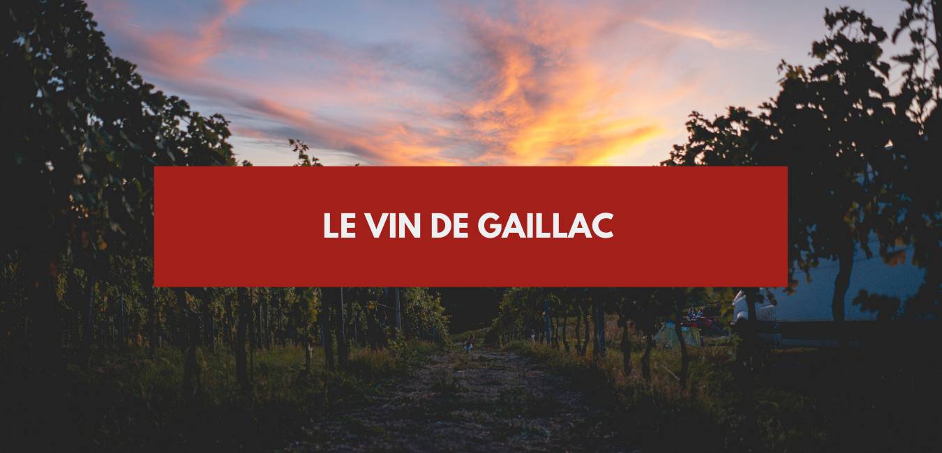 You are currently viewing Le vin de Gaillac