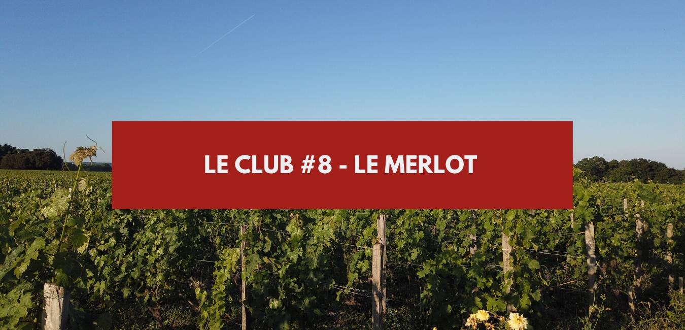 You are currently viewing Le Club #8 – Le Merlot