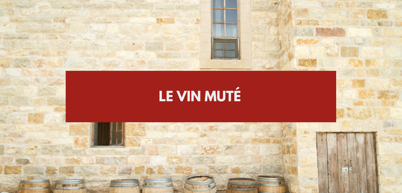 You are currently viewing Vin muté