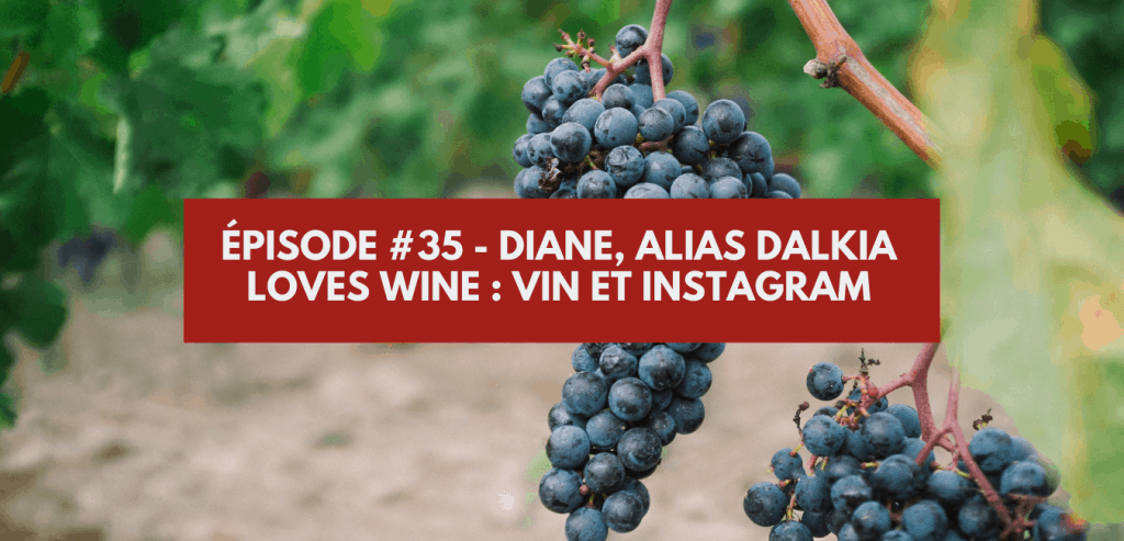 Épisode #35 - Diane, alias Dalkia Loves Wine _ Vin et Instagram