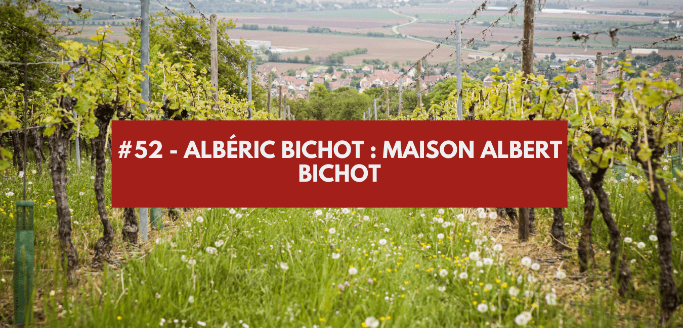 You are currently viewing #52 – Albéric Bichot : maison Albert Bichot