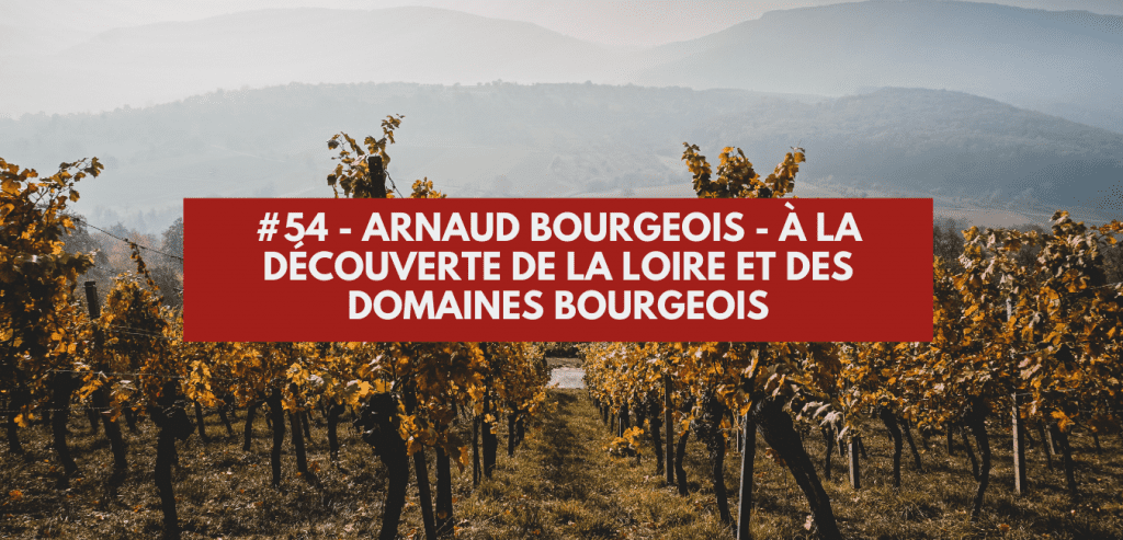 #54 - Arnaud Bourgeois - À la découverte de la Loire et des domaines Bourgeois