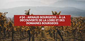 Lire la suite à propos de l’article #54 – Arnaud Bourgeois – À la découverte de la Loire et des domaines Bourgeois