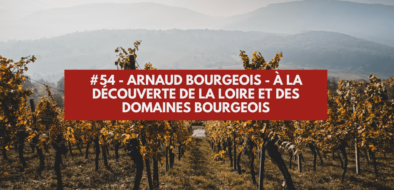 You are currently viewing #54 – Arnaud Bourgeois – À la découverte de la Loire et des domaines Bourgeois