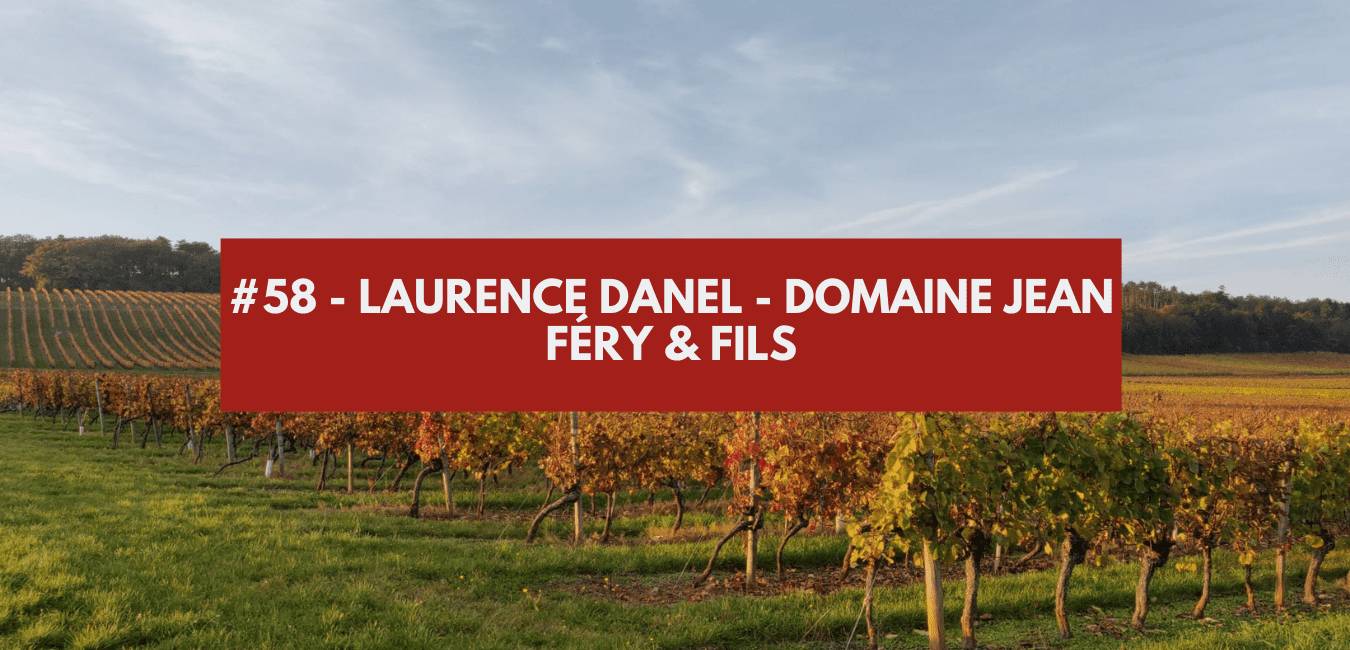 You are currently viewing #58 – Laurence Danel – Domaine Jean Féry & Fils