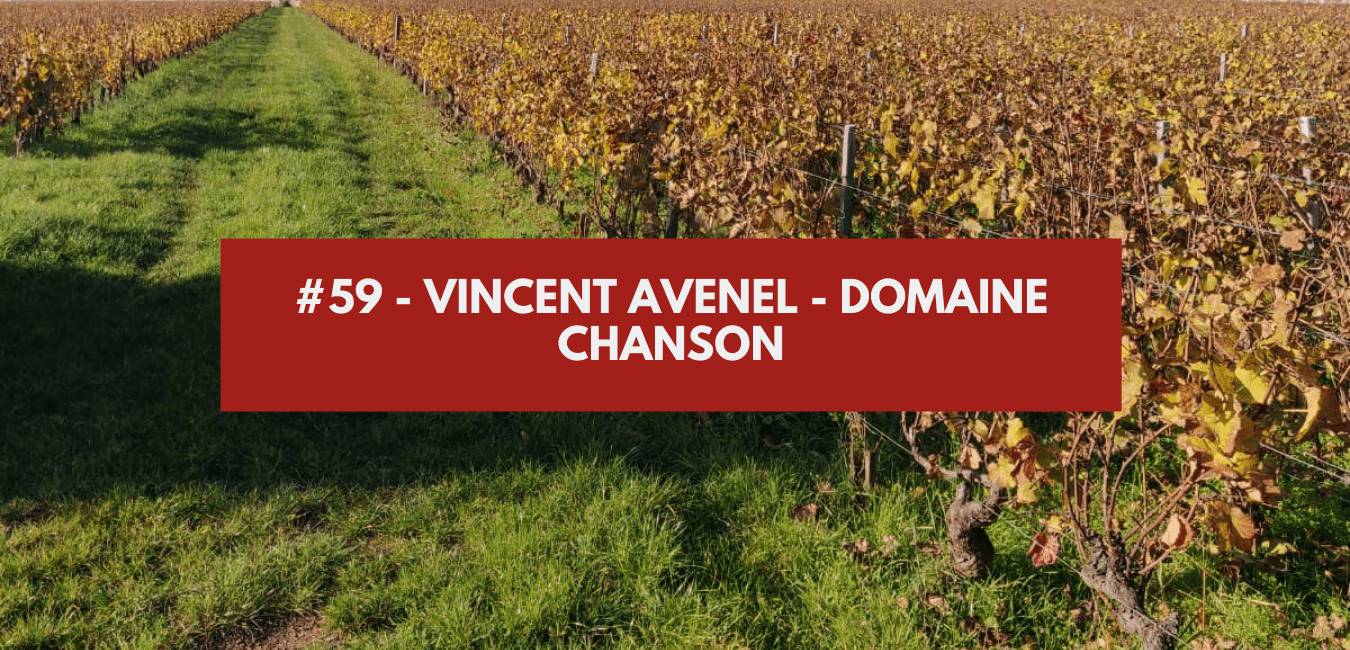 You are currently viewing #59 – Vincent Avenel – Domaine Chanson